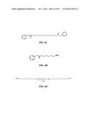 METHODS OF USE FOR COMPOSITIONS COMPRISING A BIOCIDAL POLYAMINE diagram and image