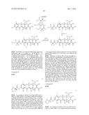 C7-FLUORO SUBSTITUTED TETRACYCLINE COMPOUNDS diagram and image