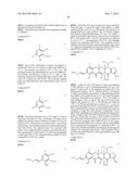 C7-FLUORO SUBSTITUTED TETRACYCLINE COMPOUNDS diagram and image