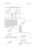 CHIRAL 2-ARYLPROPYL-2-SULFINAMIDE AND CHIRAL     N-2-ARYLPROPYL-2-SULFINYLIMINES AND SYNTHESIS THEREOF diagram and image