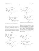 THERAPEUTIC LACTAMS diagram and image