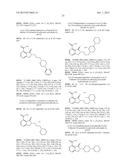 4-CARBOXAMIDO-ISOINDOLINONE DERIVATIVES AS SELECTIVE PARP-1 INHIBITORS diagram and image