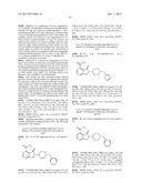 4-CARBOXAMIDO-ISOINDOLINONE DERIVATIVES AS SELECTIVE PARP-1 INHIBITORS diagram and image