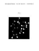 FLUORINATED DERIVATIVES OF 3-HYDROXYPYRIDIN-4-ONES diagram and image