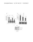 COMPOUNDS USEFUL FOR TREATING OCULAR NEOVASCULAN diagram and image