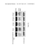 COMPOUNDS USEFUL FOR TREATING OCULAR NEOVASCULAN diagram and image