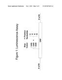 PYRAZOLE OR TRIAZOLE COMPOUNDS AND THEIR USE FOR THE MANUFACTURE OF A     MEDICAMENT FOR TREATING SOMATIC MUTATION-RELATED DISEASES diagram and image