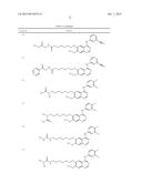 QUINAZOLINE BASED EGFR INHIBITORS CONTAINING A ZINC BINDING MOIETY diagram and image