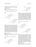 PYRONE COMPOUNDS AND HERBICIDES COMPRISING THE SAME diagram and image