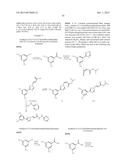 Hydrazide Containing Nuclear Transport Modulators And Uses Thereof diagram and image