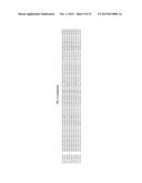 FIBRONECTIN BASED SCAFFOLD DOMAIN PROTEINS THAT BIND IL-23 diagram and image