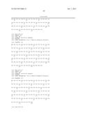 FIBRONECTIN BASED SCAFFOLD DOMAIN PROTEINS THAT BIND IL-23 diagram and image