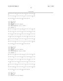 FIBRONECTIN BASED SCAFFOLD DOMAIN PROTEINS THAT BIND IL-23 diagram and image