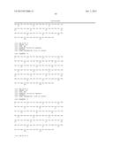 FIBRONECTIN BASED SCAFFOLD DOMAIN PROTEINS THAT BIND IL-23 diagram and image