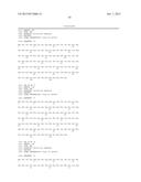 FIBRONECTIN BASED SCAFFOLD DOMAIN PROTEINS THAT BIND IL-23 diagram and image