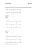 FIBRONECTIN BASED SCAFFOLD DOMAIN PROTEINS THAT BIND IL-23 diagram and image