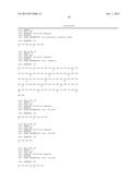 FIBRONECTIN BASED SCAFFOLD DOMAIN PROTEINS THAT BIND IL-23 diagram and image