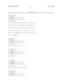 FIBRONECTIN BASED SCAFFOLD DOMAIN PROTEINS THAT BIND IL-23 diagram and image