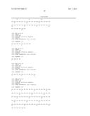 FIBRONECTIN BASED SCAFFOLD DOMAIN PROTEINS THAT BIND IL-23 diagram and image