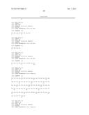 FIBRONECTIN BASED SCAFFOLD DOMAIN PROTEINS THAT BIND IL-23 diagram and image