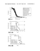 ANTI-INFLUENZA B VIRUS HEMAGGLUTININ ANTIBODIES AND METHODS OF USE diagram and image