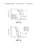 ANTI-INFLUENZA B VIRUS HEMAGGLUTININ ANTIBODIES AND METHODS OF USE diagram and image