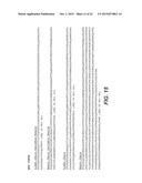 ANTI-INFLUENZA B VIRUS HEMAGGLUTININ ANTIBODIES AND METHODS OF USE diagram and image