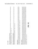 ANTI-INFLUENZA B VIRUS HEMAGGLUTININ ANTIBODIES AND METHODS OF USE diagram and image