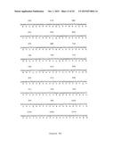 NOVEL HUMAN GENES RELATING TO RESPIRATORY DISEASES AND OBESITY diagram and image