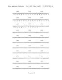 NOVEL HUMAN GENES RELATING TO RESPIRATORY DISEASES AND OBESITY diagram and image