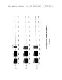 NOVEL HUMAN GENES RELATING TO RESPIRATORY DISEASES AND OBESITY diagram and image