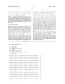 NOVEL HUMAN GENES RELATING TO RESPIRATORY DISEASES AND OBESITY diagram and image