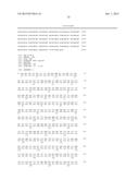 NOVEL HUMAN GENES RELATING TO RESPIRATORY DISEASES AND OBESITY diagram and image