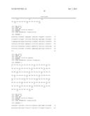 TREATMENT OF INFLAMMATORY PAIN USING IL-20 ANTAGONISTS diagram and image