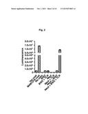 Antibodies that Bind and Block Triggering Receptor Expressed on Myeloid     Cells-1 (TREM-1) diagram and image