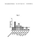 Antibodies that Bind and Block Triggering Receptor Expressed on Myeloid     Cells-1 (TREM-1) diagram and image