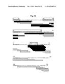 Antibodies that Bind and Block Triggering Receptor Expressed on Myeloid     Cells-1 (TREM-1) diagram and image