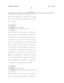 Antibodies that Bind and Block Triggering Receptor Expressed on Myeloid     Cells-1 (TREM-1) diagram and image