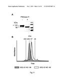 Recombinant TNF Ligand Family Member Polypeptides with Antibody Binding     Domain and Uses Therefor diagram and image