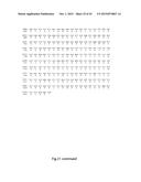 Recombinant TNF Ligand Family Member Polypeptides with Antibody Binding     Domain and Uses Therefor diagram and image