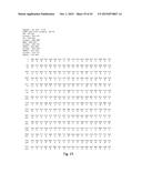 Recombinant TNF Ligand Family Member Polypeptides with Antibody Binding     Domain and Uses Therefor diagram and image