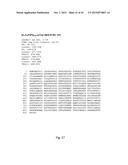 Recombinant TNF Ligand Family Member Polypeptides with Antibody Binding     Domain and Uses Therefor diagram and image