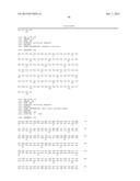 Compositions and Methods Relating to Anti-IGF-1 Receptor Antibodies diagram and image