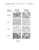 Antibodies Reactive with B7-H3, Immunologically Active Fragments Thereof     and Uses Thereof diagram and image