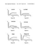 Antibodies Reactive with B7-H3, Immunologically Active Fragments Thereof     and Uses Thereof diagram and image