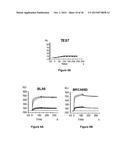 Antibodies Reactive with B7-H3, Immunologically Active Fragments Thereof     and Uses Thereof diagram and image