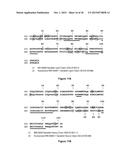 Antibodies Reactive with B7-H3, Immunologically Active Fragments Thereof     and Uses Thereof diagram and image