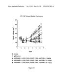 Antibodies Reactive with B7-H3, Immunologically Active Fragments Thereof     and Uses Thereof diagram and image