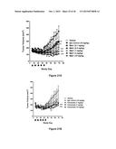 Antibodies Reactive with B7-H3, Immunologically Active Fragments Thereof     and Uses Thereof diagram and image