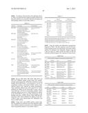 Antibodies Reactive with B7-H3, Immunologically Active Fragments Thereof     and Uses Thereof diagram and image